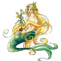 blutwurz_nixe_bearbeitet